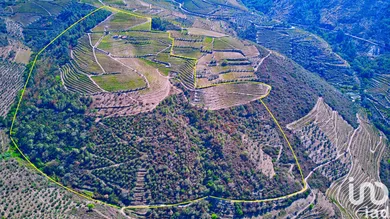 Farm  in Barcos e Santa Leocádia