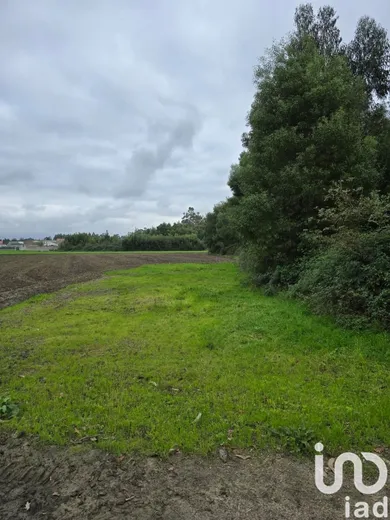 Farm land  in Pardilhó