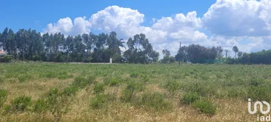 Land at São Teotónio