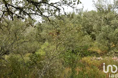 Land  in Chãos