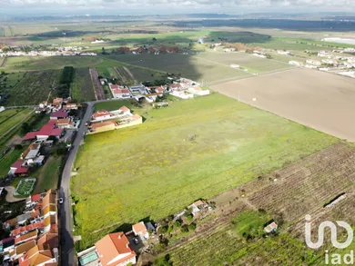 Terreno  em Alpiarça