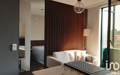 Office at Cedofeita, Santo Ildefonso, Sé, Miragaia, São Nicolau e Vitória