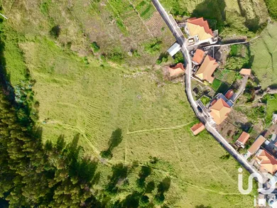 Terreno em Estreito da Calheta