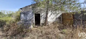 House in Rio Maior