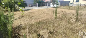 Terreno em Marrazes e Barosa