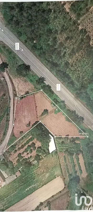 Terreno  em Águeda e Borralha