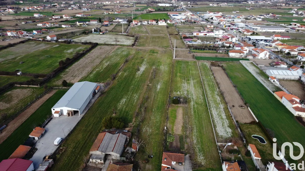 Terreno de 23 834 m² em Madalena e Samaiões