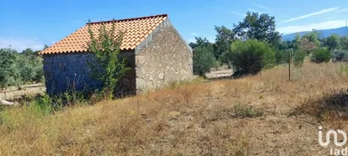 Land at Carrapichana