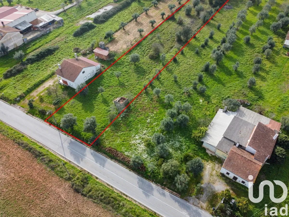 Terreno de 5800 m² em Areias e Pias