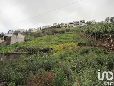 Land  in Funchal (Santa Maria Maior)