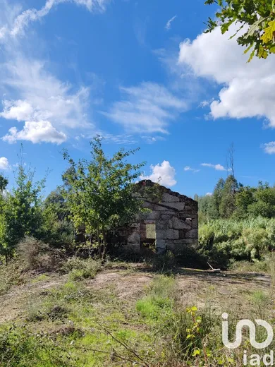 Farm land  in Seixo da Beira