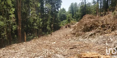 Terreno em Luzim e Vila Cova