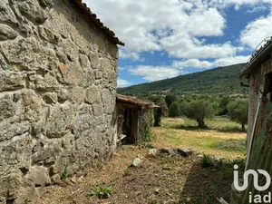 Land  at Madalena e Samaiões