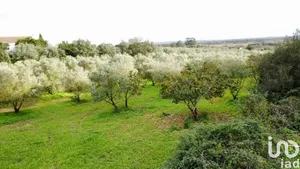 Land  at Santarém (Marvila), Santa Iria Da Ribeira De Santarém, Santarém (São Salvador) E Santarém (São Nicolau)