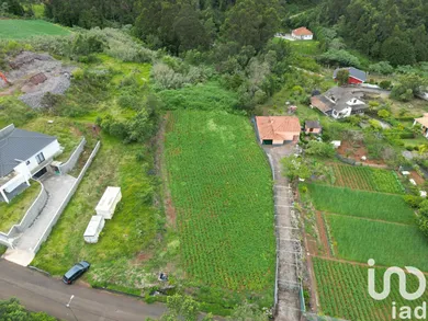Land in São Jorge