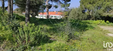 Terreno  em Sesimbra (Castelo)