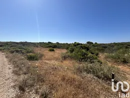 Farm land in Barão de São Miguel