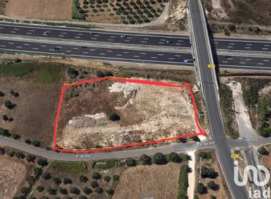 Land in Cartaxo e Vale da Pinta