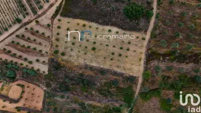 Fotografia 3 de Terreno de 11 872 m² em Poço do Canto