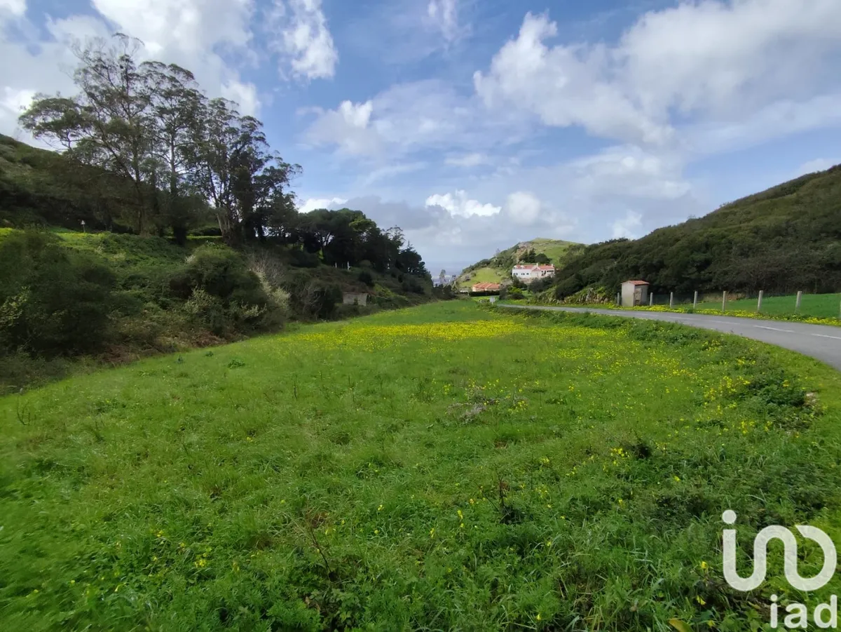 Terreno de 2600 m² em Cadaval e Pêro Moniz