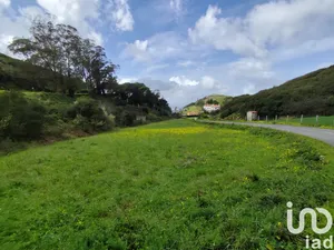 Terreno  em Cadaval e Pêro Moniz