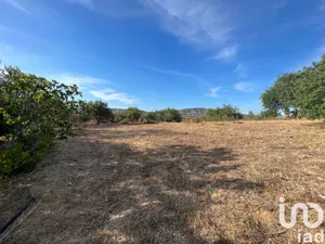 Farm land  at Quelfes