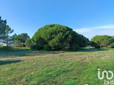 Terreno  em Sesimbra (Castelo)