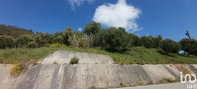 Terreno  em Rio Maior