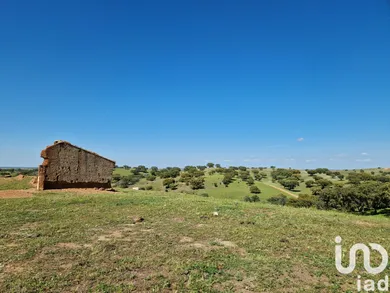 Farm land  in Alcaria Ruiva