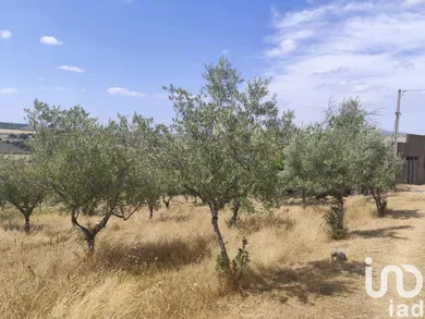 Lodge in Castelo Branco