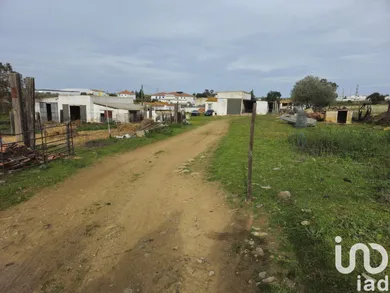 Terreno  em Castro Verde e Casével