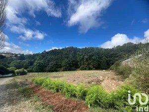 Land  at Recezinhos (São Mamede)