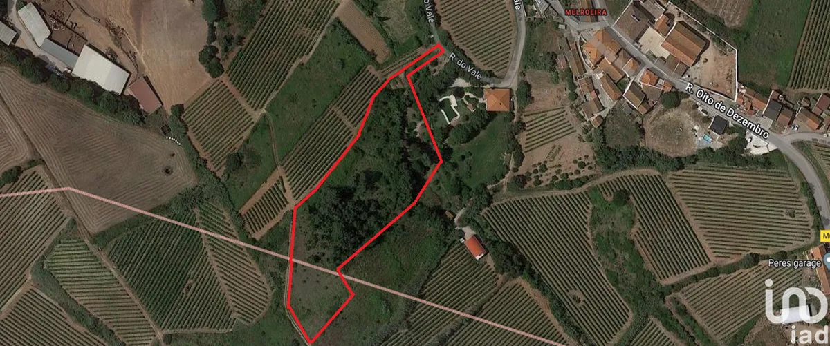 Terreno de 6866 m² em Turcifal