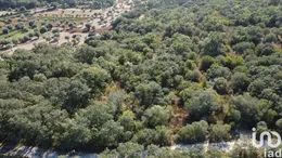 Land in Chãos