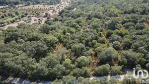 Terreno  em Chãos