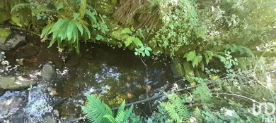 Terreno em Pedrógão Grande
