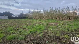Land in Antas