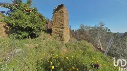 Land in Troviscal
