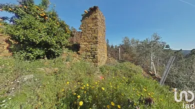 Terreno  em Troviscal