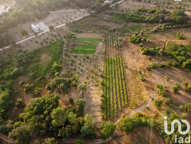 Terreno  em Areias e Pias