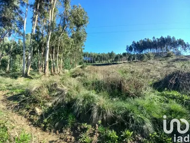 Terreno em Vilar