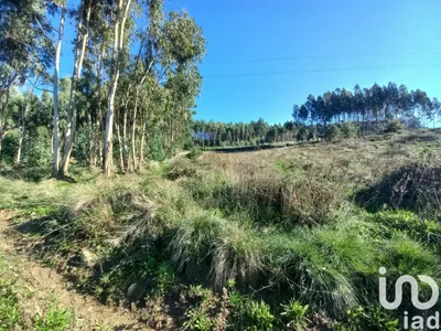 Fotografia 3 de Terreno de 21 640 m² em Vilar