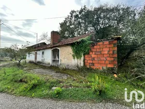 Casa de aldeia em Colmeias e Memória