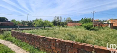 Land  at Santo André de Vagos