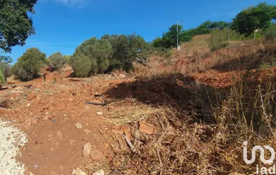 Terreno  em São Bartolomeu de Messines