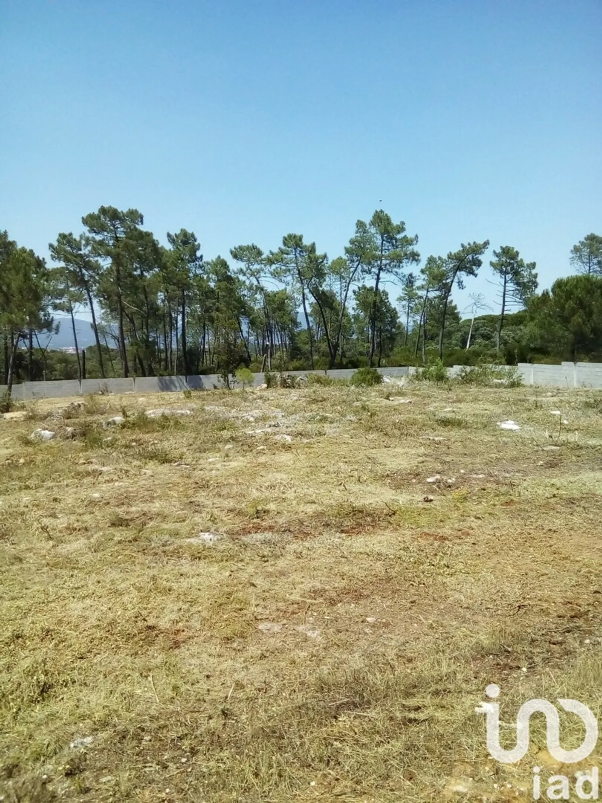 Terreno de 5620 m² em Malhou, Louriceira e Espinheiro