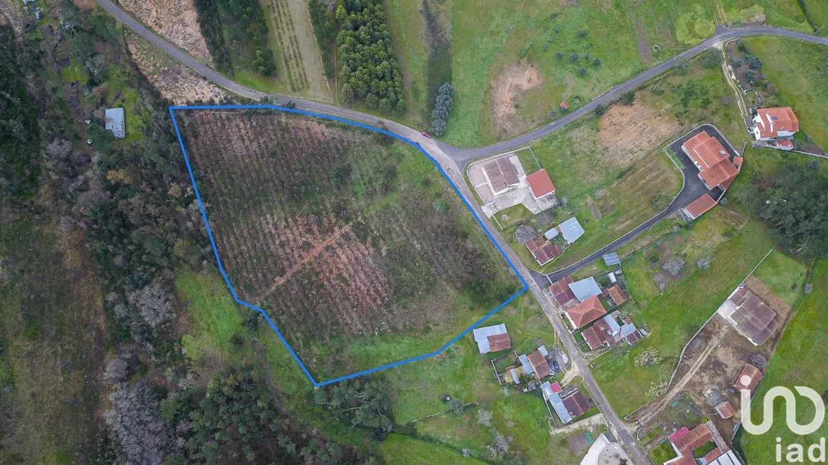 Terreno rústico de 12 000 m² em Soure