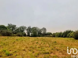 Terreno  em Colares