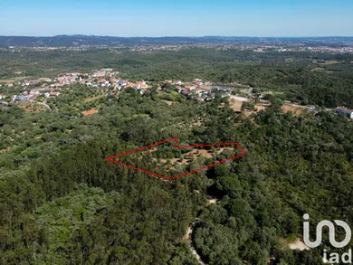 Terreno em Além da Ribeira e Pedreira