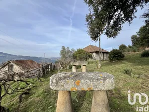 Farm at Oliveira do Douro